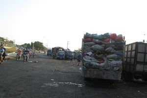 Vườn hoa thay thế bãi rác