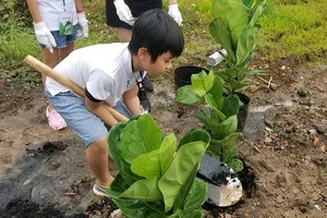 TP.HCM đẩy mạnh phát triển mảng xanh trên toàn TP