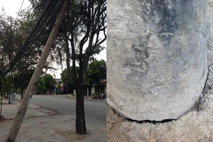 Coi chừng trụ điện sắp đổ