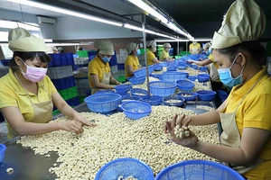 Mở thêm cánh cửa cho hàng Việt sang Đức, Pháp