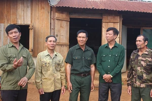 Hủy 2 bản án kết tội 6 cựu chiến binh hủy hoại rừng