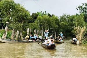 ‘Đi du lịch trong nước ở thời điểm này là thông thái’