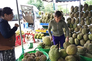 Sầu riêng, me… Thái Lan ồ ạt vào Việt Nam