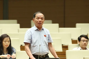 Quốc hội bàn về tính chuyên nghiệp của đại biểu