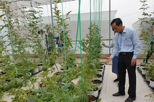 Đông Thạnh, từ bãi rác thành khu sinh thái