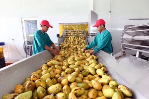 Việt Nam đặt mục tiêu vào nhóm nước nông nghiệp phát triển