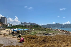 Nhùng nhằng thu hồi dự án lấn biển trái phép ở Nha Trang