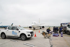 Nhiều phương án khi Nội Bài và Tân Sơn Nhất đóng 1 đường băng