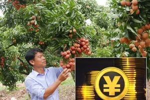 Tiền số Trung Quốc sẽ tác động đến doanh nghiệp Việt