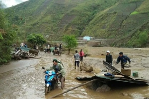 5-6 cơn bão mạnh sẽ có xu hướng chuyển xuống phía Nam