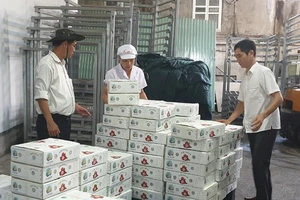 Nghịch lý: Phí vận chuyển nội địa đắt hơn đi Mỹ, Pháp