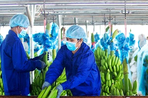 Sửa nghị định, doanh nghiệp được trả lại cả ngàn tỉ