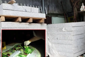 TAND Tối cao giải đáp vướng mắc về án ma túy