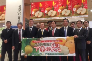 Đón thêm ông lớn Nhật đến Việt Nam làm ăn