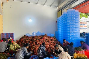 Xóa sổ dần buôn bán tiểu ngạch, tạm nhập tái xuất