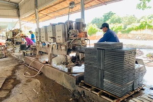 Sau thắng kiện, công ty muốn được thuê đất 50 năm