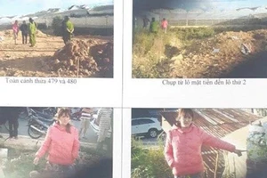 Vợ ‘dính’ án, chồng bị xem xét dấu hiệu đồng phạm