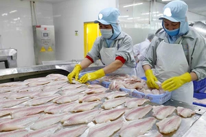 Bức xúc vì hàng xuất khẩu bị đánh thuế như hàng chợ