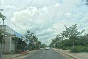 Bị ‘treo’ nợ gần 90 tỉ đồng, doanh nghiệp điêu đứng