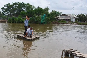 Trinh sát bất đắc dĩ trước trò gian của thương lái