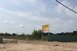 Thanh tra TP chuyển cơ quan điều tra sai phạm tại 2 công ty