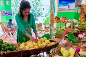 Bỗng dưng bị cấm xuất khẩu xoài sang Trung Quốc