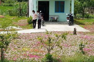 Nở rộ những đường hoa chống xả rác ở TP.HCM