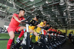 ‘Phù thủy trắng’ Troussier và ông Park nghĩ xa đến World Cup