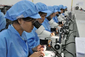 TP.HCM: Hợp tác, đồng hành với các nhà đầu tư Mỹ