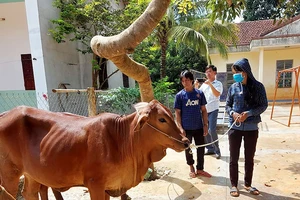 Bình Phước giúp dân thoát nghèo bền vững