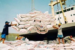 Pháp Luật TP.HCM cùng gỡ nút thắt phát triển