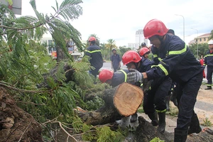 Bão số 5 gây thiệt hại nặng cho miền Trung