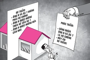 1 ông 4 bà, chia đất, chia nhà nhiều rắc rối