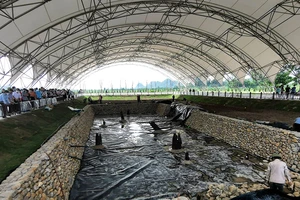 Chưa rõ nguồn gốc hai bãi cọc Cao Quỳ, Đầm Thượng