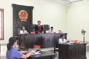 Cần Thơ: Dân thắng kiện văn phòng đăng ký đất đai