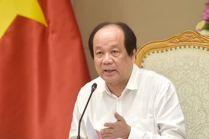 ‘Văn bản chồng chất, chúng ta rất khổ, không nhớ hết’