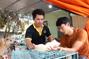 Biệt đội giải cứu chó mèo ở Tây Nguyên