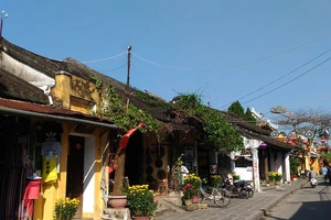 Thành lập Hội đồng di sản văn hóa quốc gia