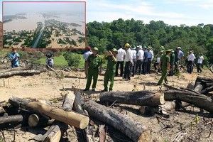 Phá rừng và cái giá phải trả - Bài 1: Rừng ‘chảy máu’ khắp nơi