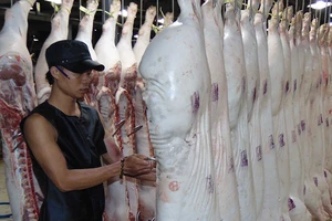 TP.HCM hỗ trợ doanh nghiệp xây nhà máy giết mổ hiện đại