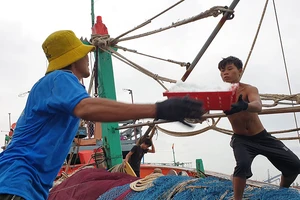 Đảm bảo an toàn cho người dân khi bão vào