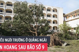 Nhiều trường học ở Quảng Ngãi tan hoang sau bão số 9