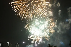 Video: Cận cảnh màn pháo hoa chào đón năm 2021