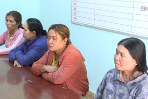 Video: Giả cô dâu, chú rể để lừa đảo 101 vụ ở Đắk Lắk 