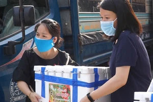 Video: Thuê xe tải, đội nắng mua vải hỗ trợ nông dân Bắc Giang