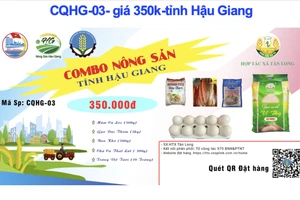 Video: 3 cách để người dân TP.HCM mua combo hàng thiết yếu qua online