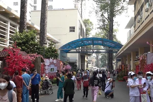 Video: Bệnh nhân bớt cô đơn và nhớ nhà khi ngắm đường hoa trong bệnh viện