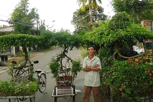 Người đàn ông 15 năm ươm mầm, sáng chế ‘xe cây’ độc lạ 