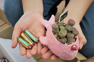 Video: Cuối tuần đem pin đổi cây xanh