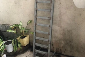 Trộm mang theo thang, trèo tường lẻn vào nhà lấy xe máy